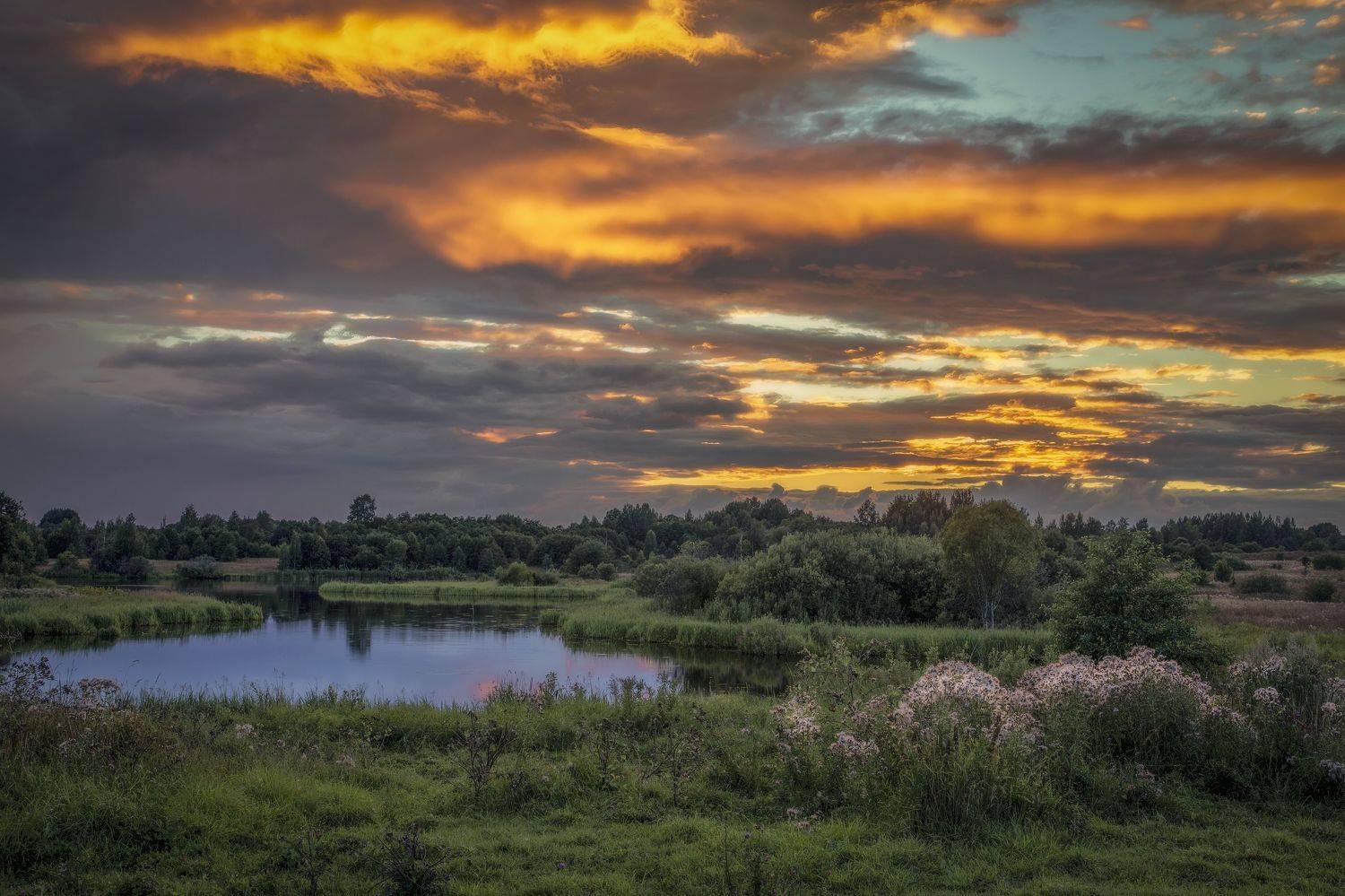 тверская область, Гусева Елена