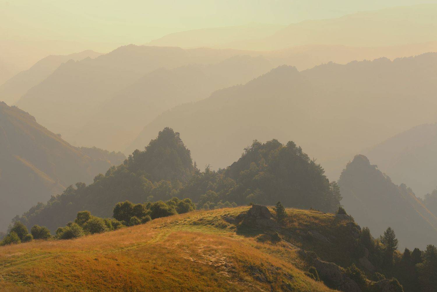 горы лето рассвет кавказ, Александр Жарников