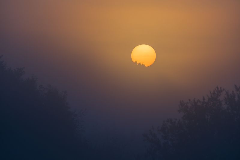 Morning magic фото превью