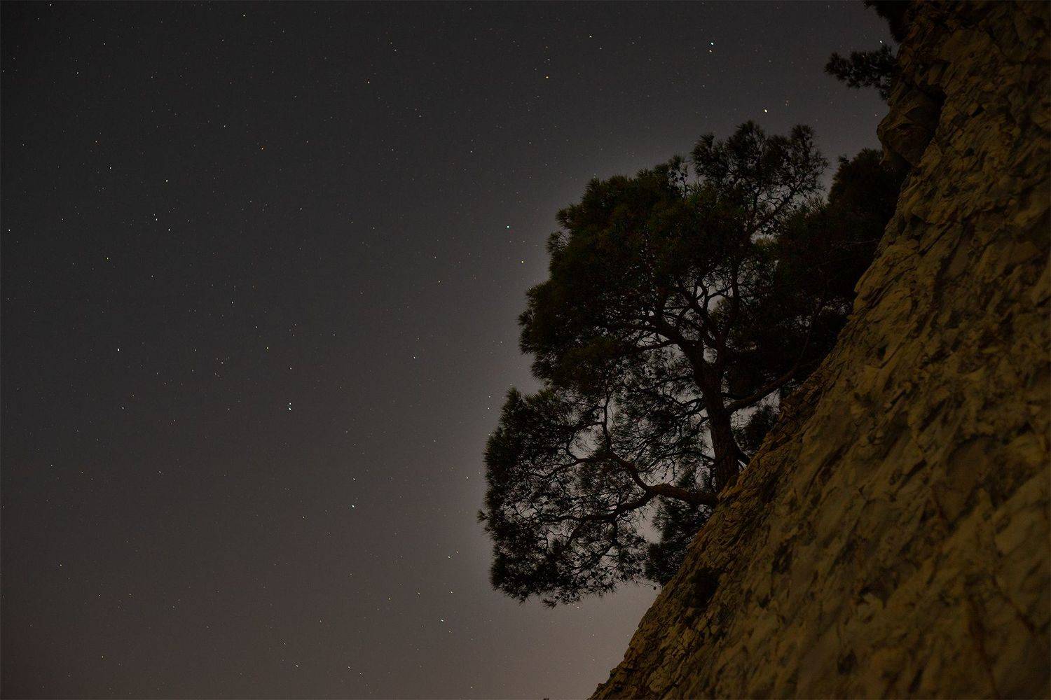 , Чудинин Дмитрий