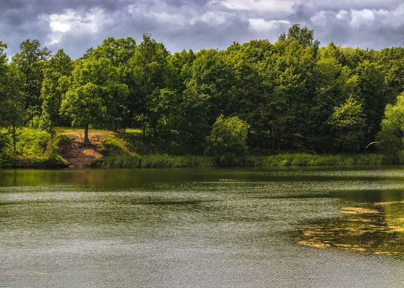 фото превью