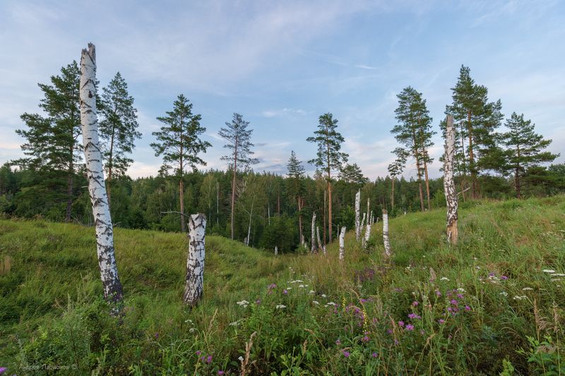 фото превью