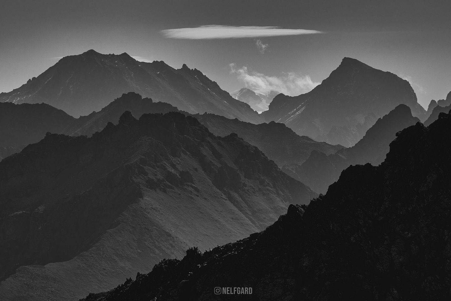 , Чехонин Александр