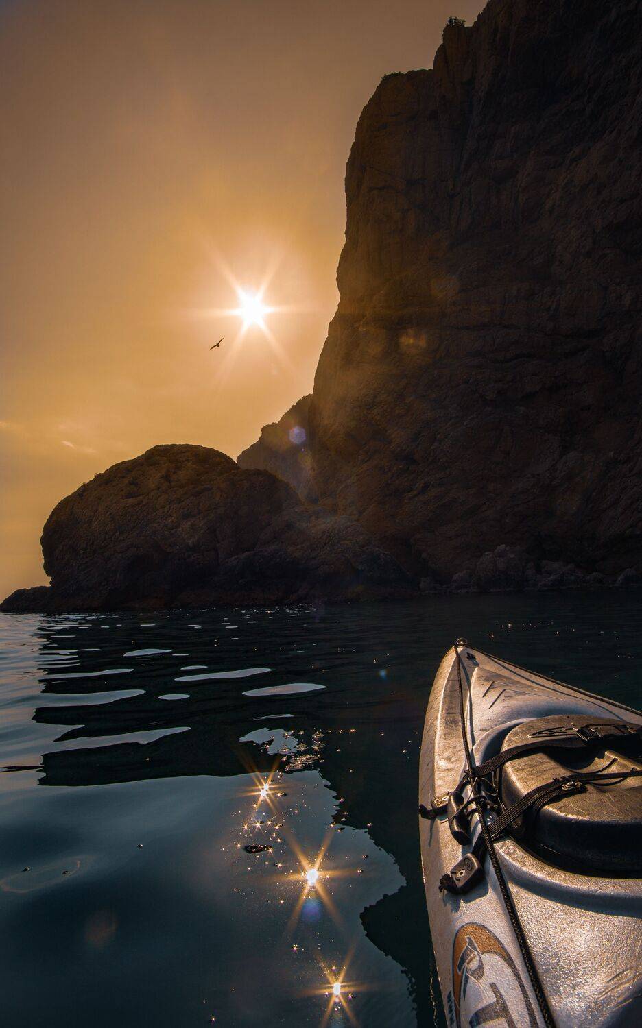 , Андрей Кривцов