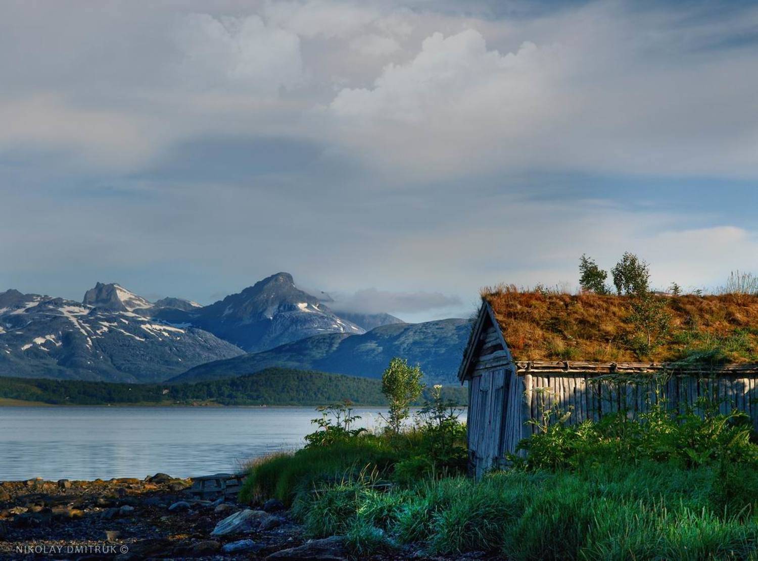 пейзаж, николай дмитрук