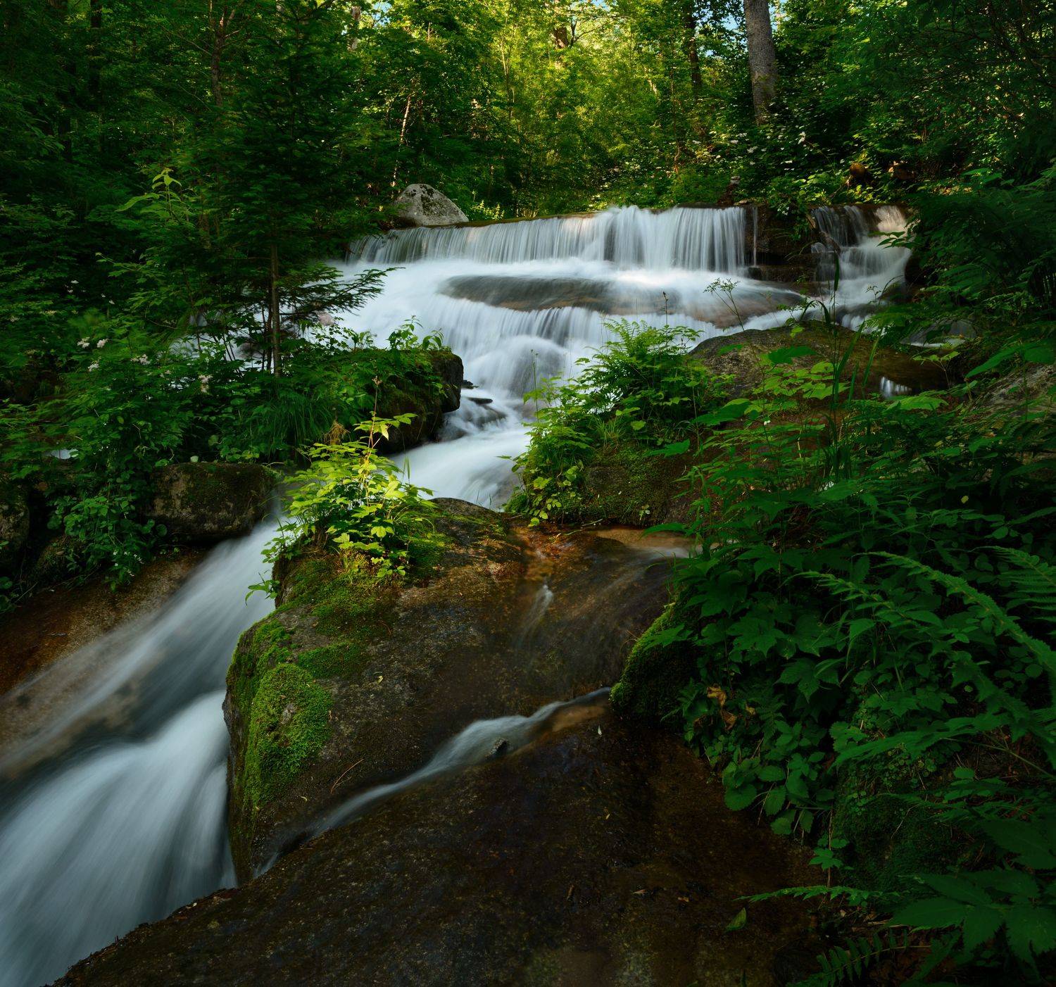 , Едуш Сергей