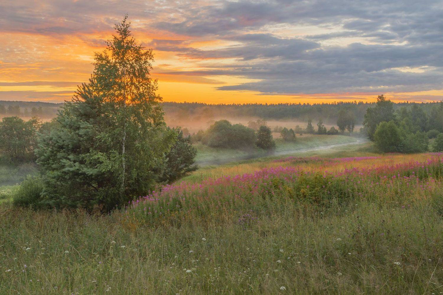 Фототуры с Владимиром Рябковым, #topnature #russpasibo #magic_shots #lovelyRussia #sunset_vision #exclusive_sky  #exclusive_shots #loves_russia2 #photoarena_nature #nature_sultans #nature_perfection #rsa_sky #rsa_sunset #photorussia #rsa_naturepics #sunse, Владимир Рябков