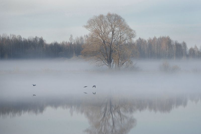 кисейные реки  фото превью