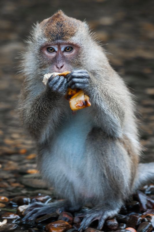 Эти глаза.. фото превью