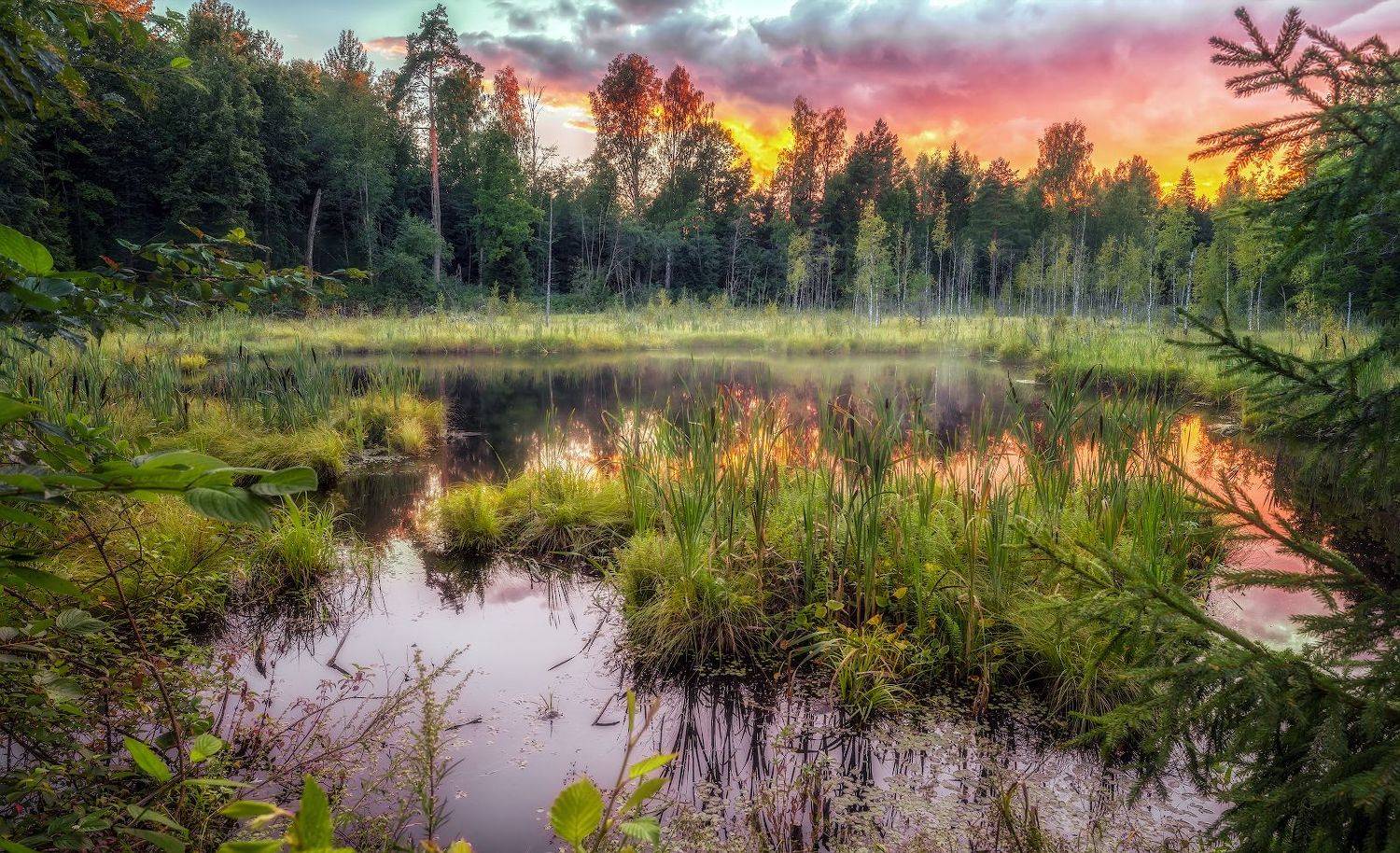 вечер закат болото август лето солнце, Скороходов Константин