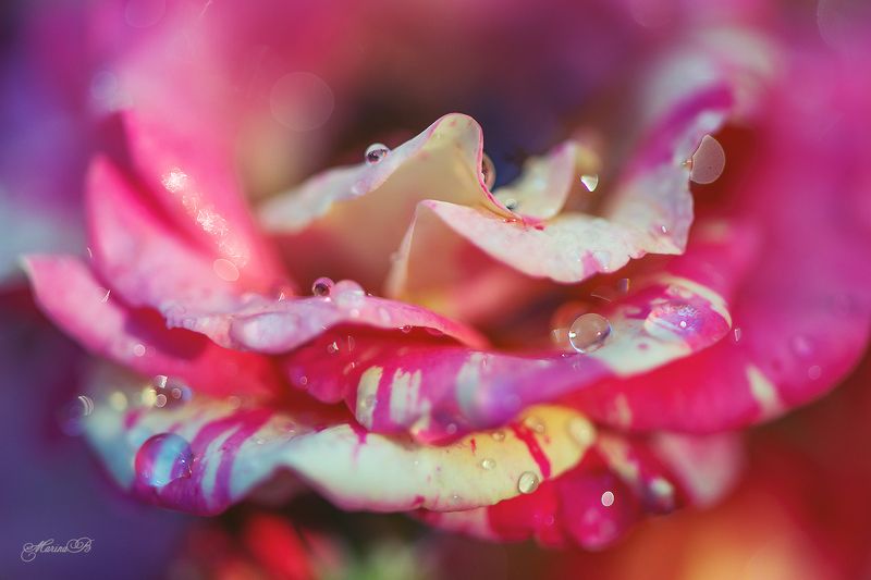 Сколько красоты в том, что зовётся мелочами... фото превью