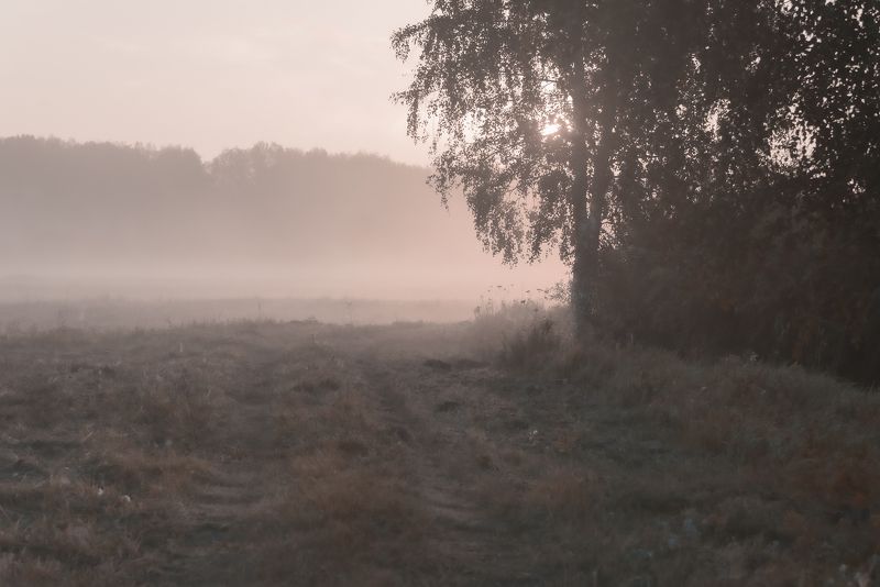 Скоро осень, за окнами август... фото превью