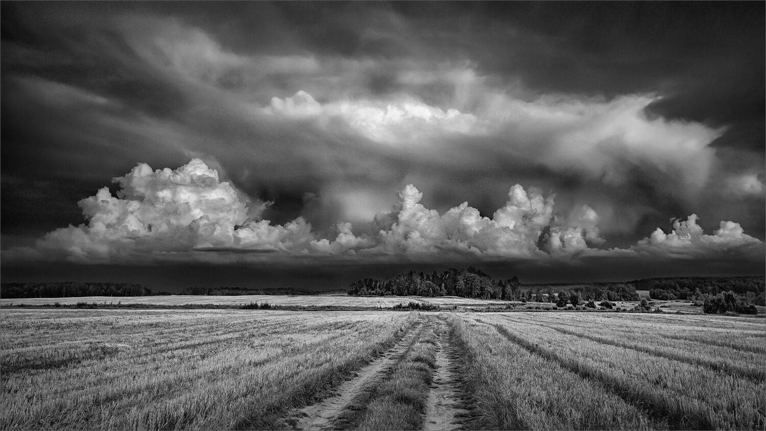 пейзаж, черно-белое, поле, небо, облака, дорога, александр никитинский., Никитинский Александр