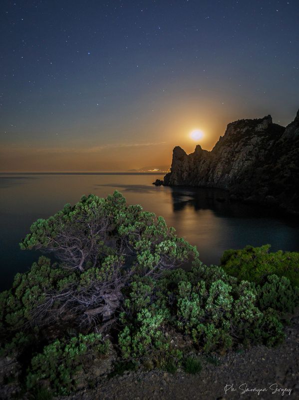 Прогулки под луной фото превью