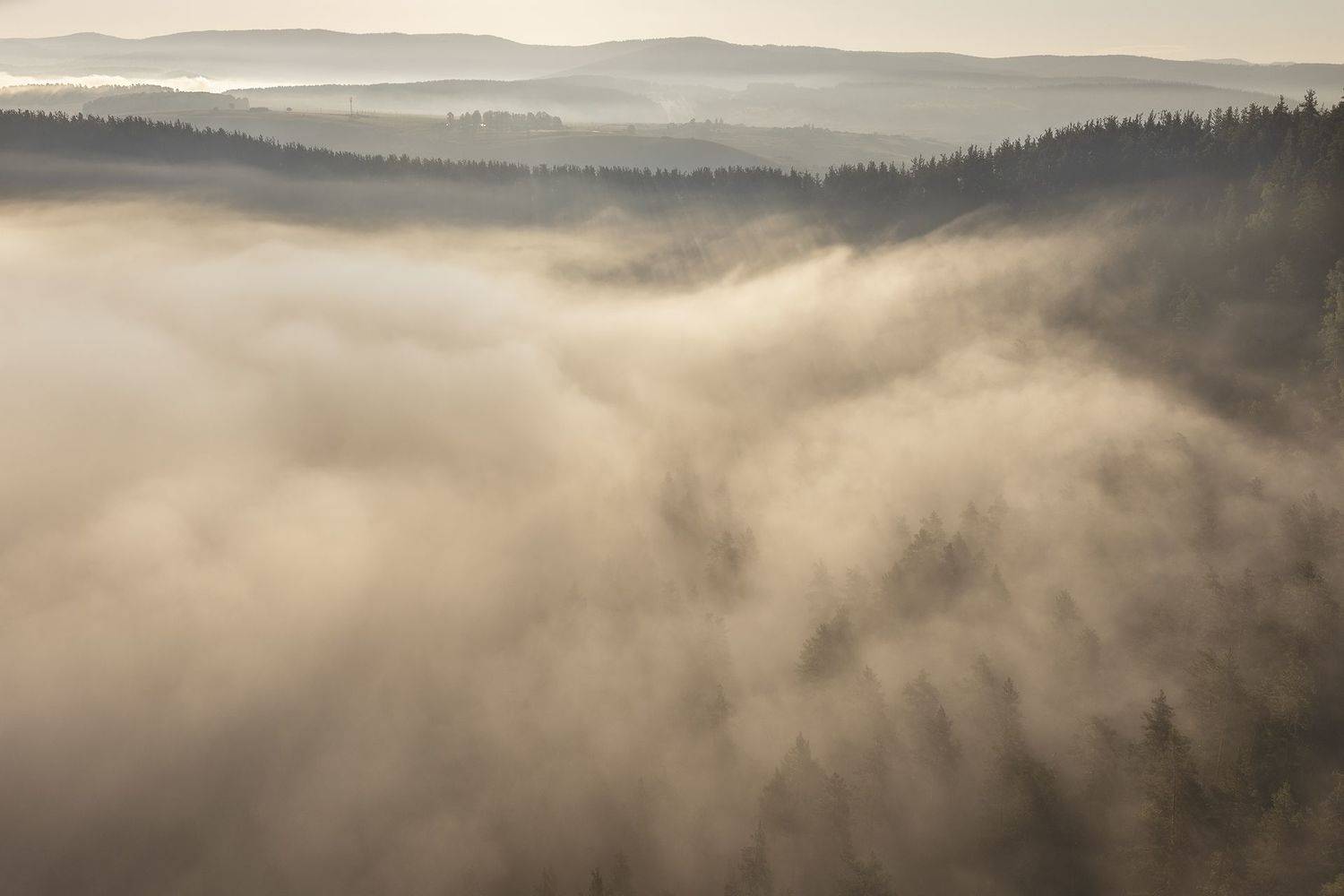 башкирия, лето, туман, утро, лес, Ирина Абатурова