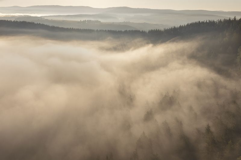 башкирия, лето, туман, утро, лес Сезон туманов фото превью