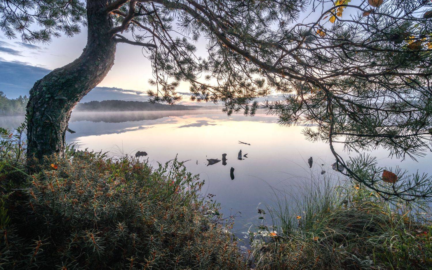 , Важенин Евгений