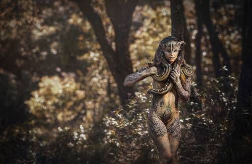 Naturaleza y vida