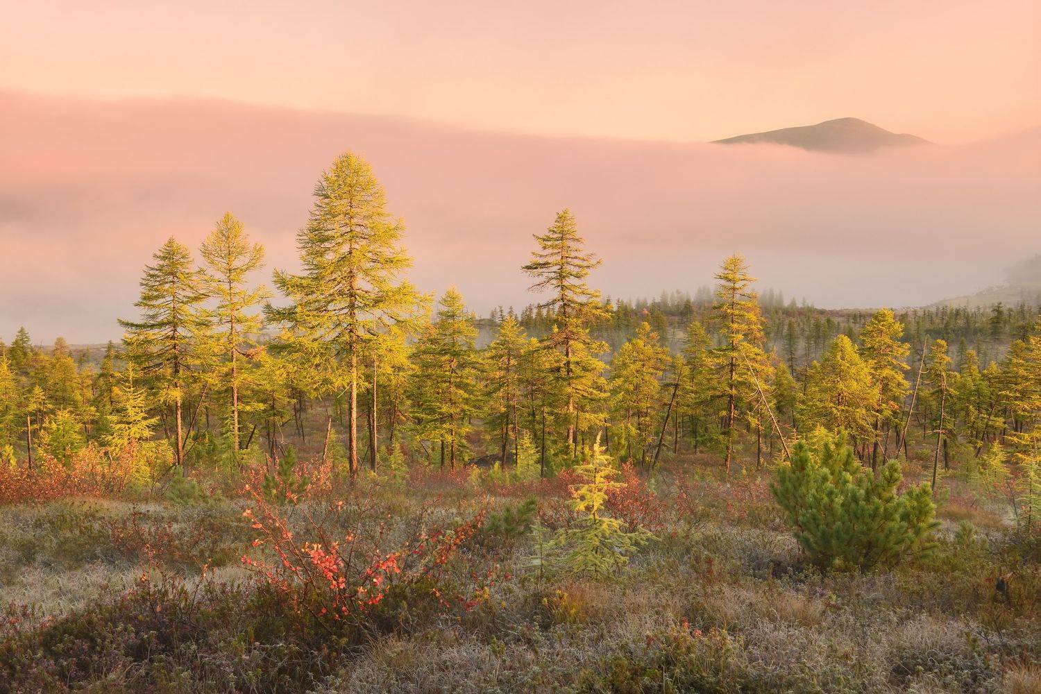 , Максим Евдокимов (phototourtravel.ru)