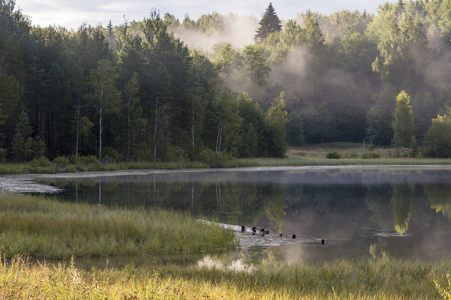 , Волоцков Александр