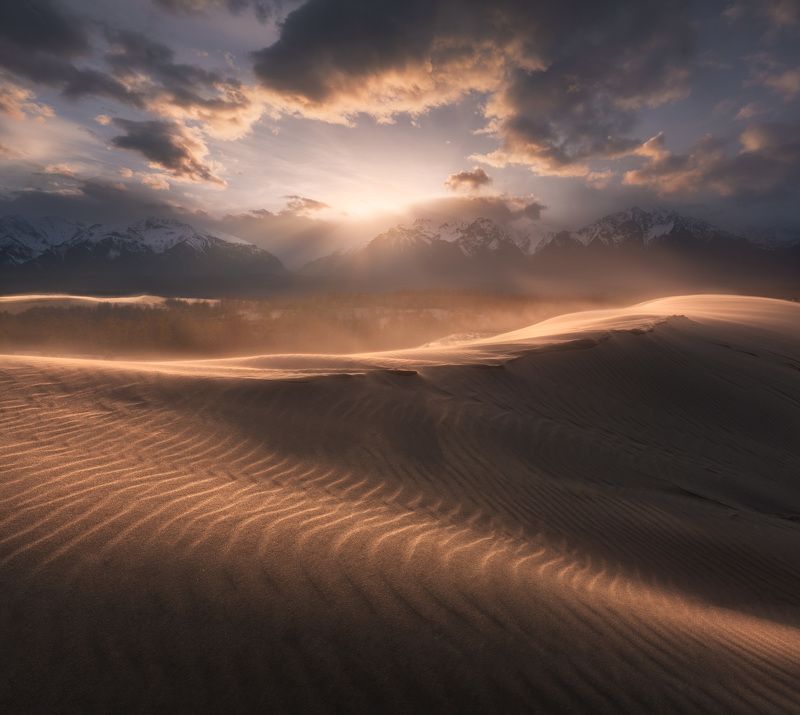 забайкалье, чара, пустыня, чарская пустыня, бархан, дюна, чарские пески Закат в Чарских песках фото превью