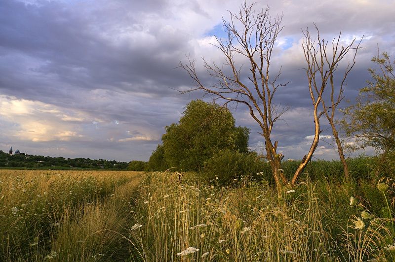 Летний вечер. фото превью