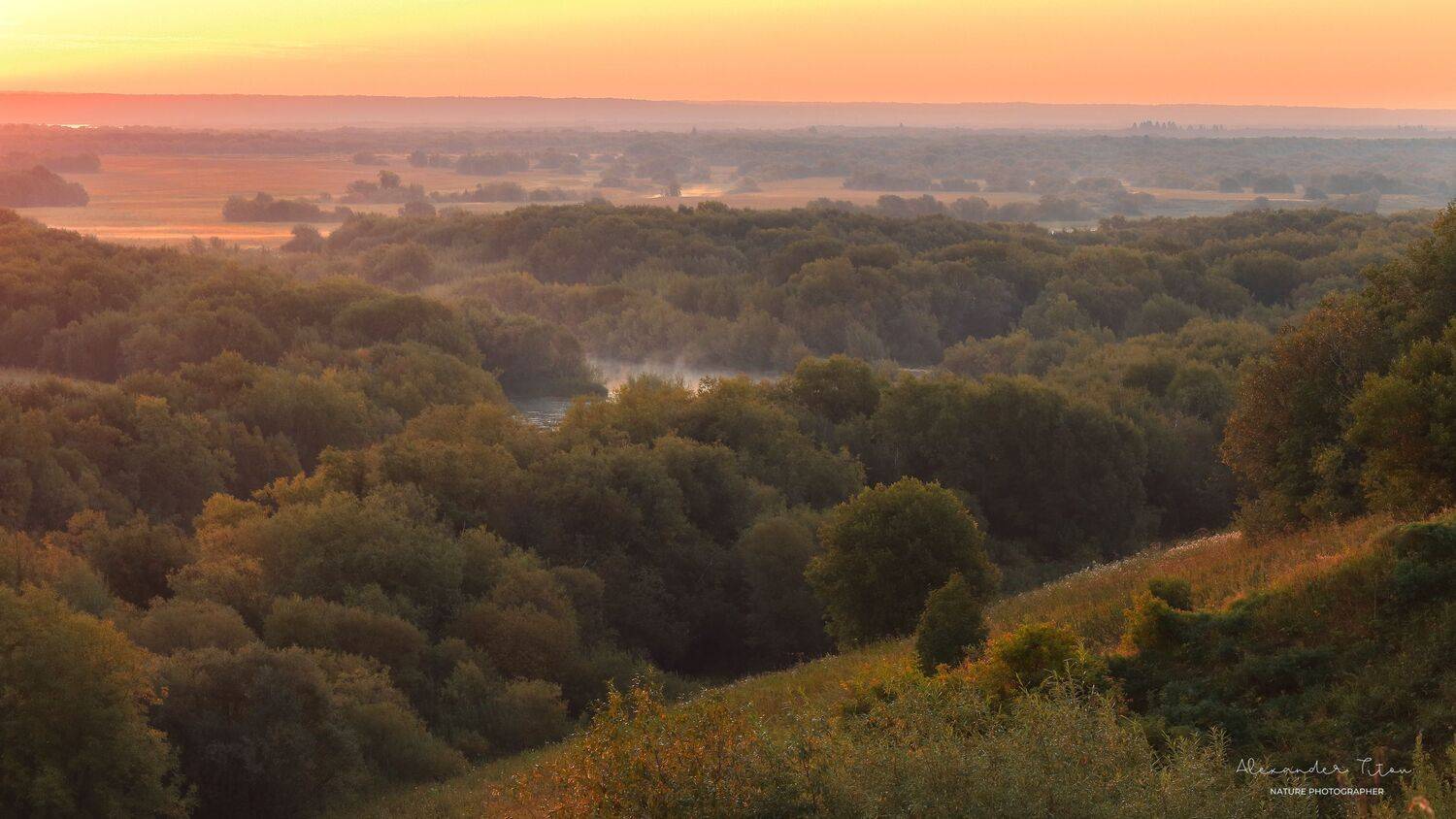 природа, утро, туман, рассвет, деревья, листва, холм, архангельская область, Титов Александр