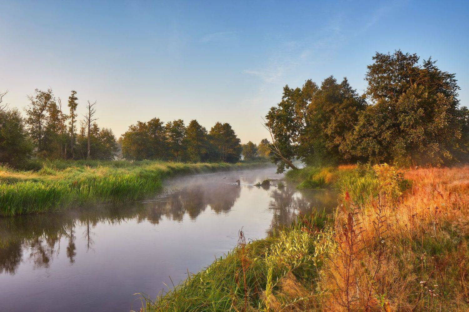 август, беларусь, лето, неман, рассвет, река, туман, утро, Вейзе Максим