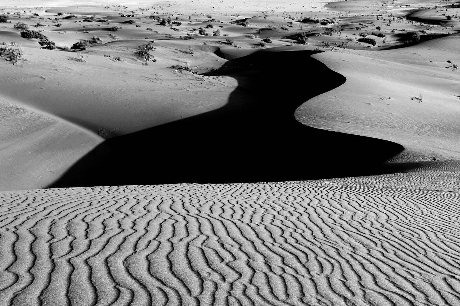 , mehdi karimi souderjani