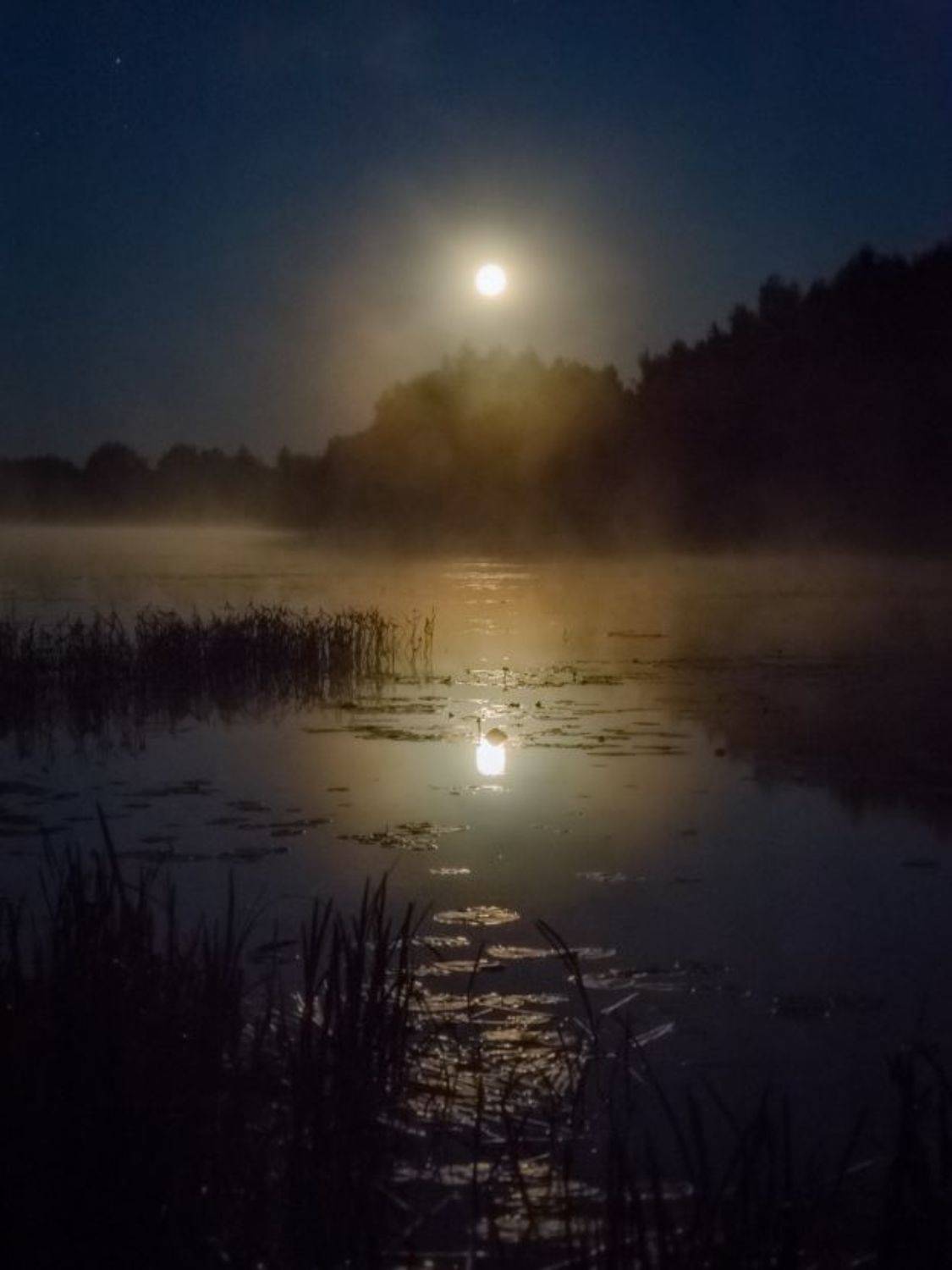 , Дмитрий Алексеев