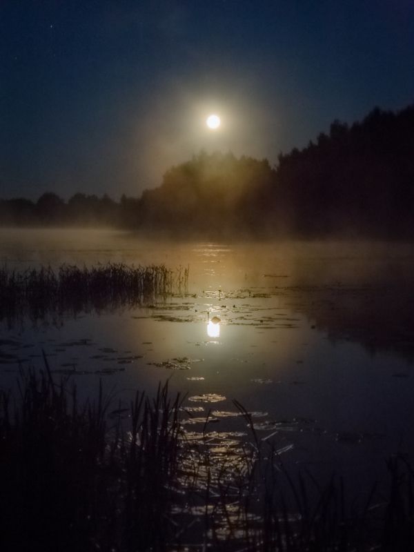 Пора сказки про Водяного фото превью