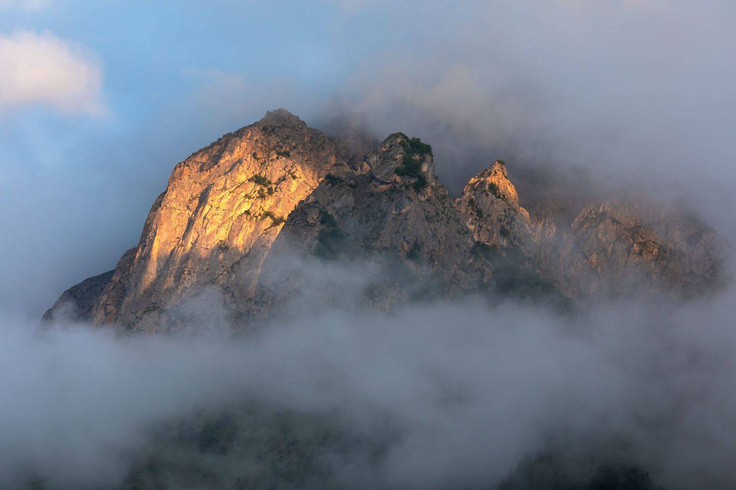 , Евгения Чех