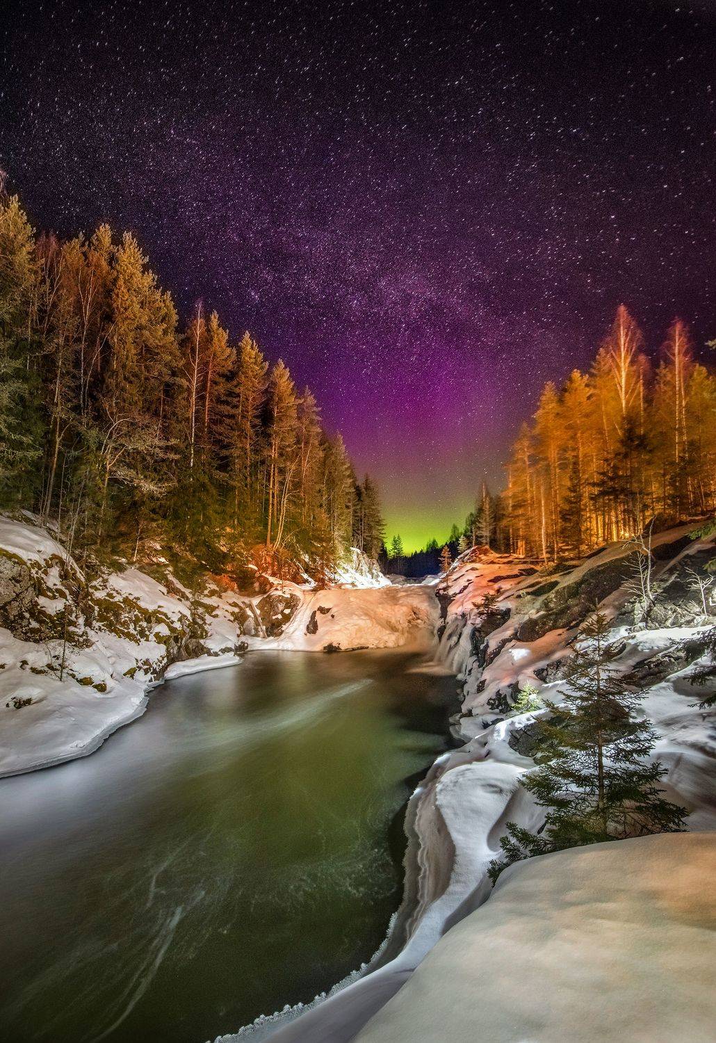 , Елена Ермолина