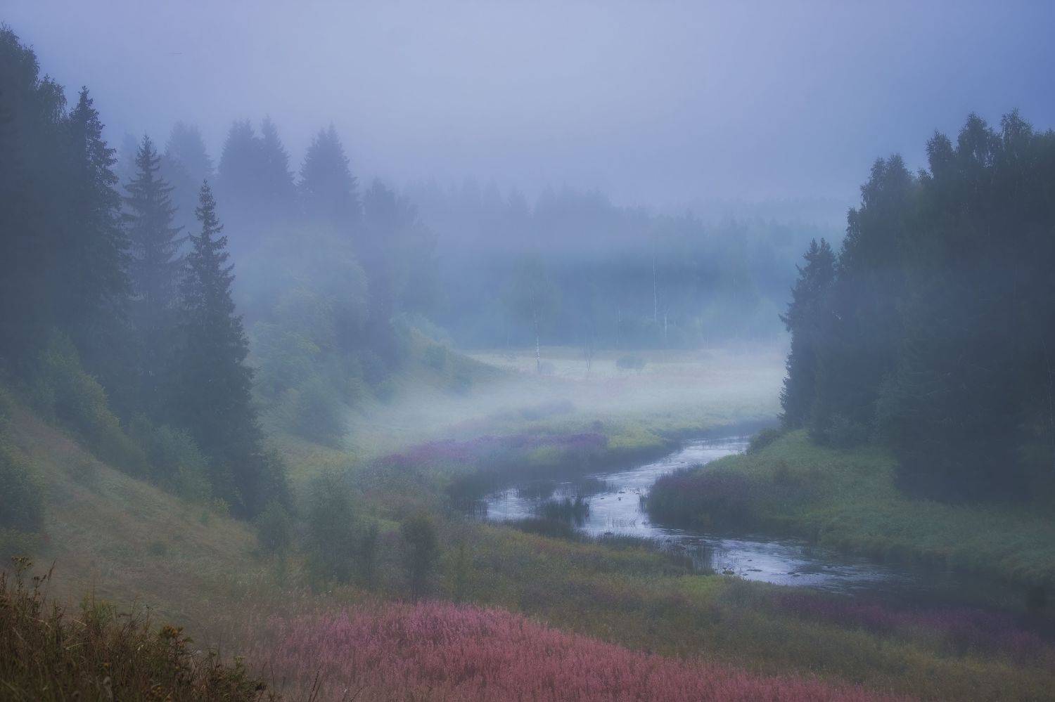 , Светлана Краюшкина