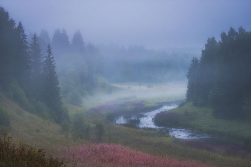 Где то в утреннем тумане фото превью