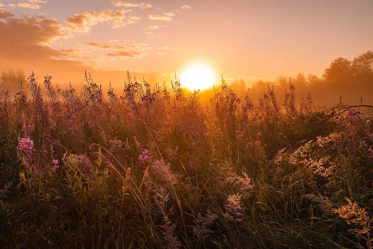 , Напалкин Станислав