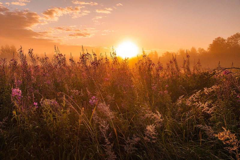 Рассвет в поле фото превью