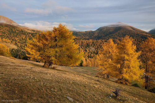 Осенние цвета Nockberge