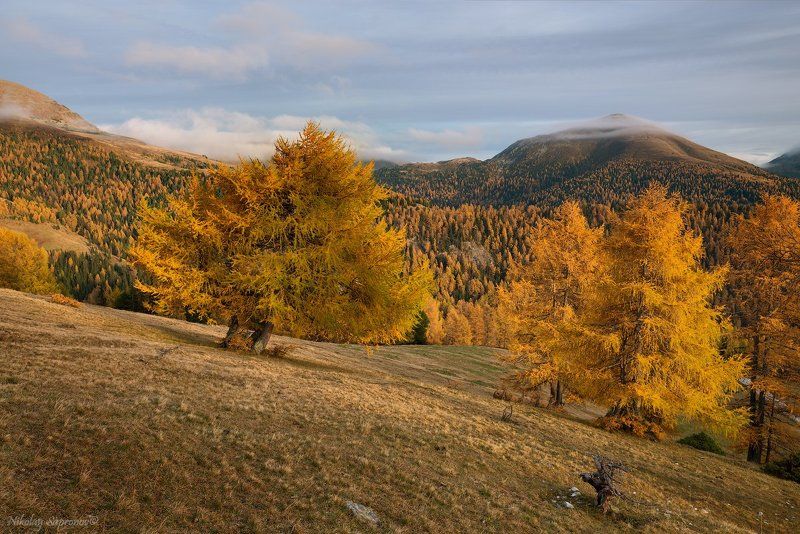 nockalmstra?e, nockberge, австрия, альпы, горы, каринтия, листвинницы, национальный парк, осенний пейзаж, осень Осенние цвета Nockberge фото превью