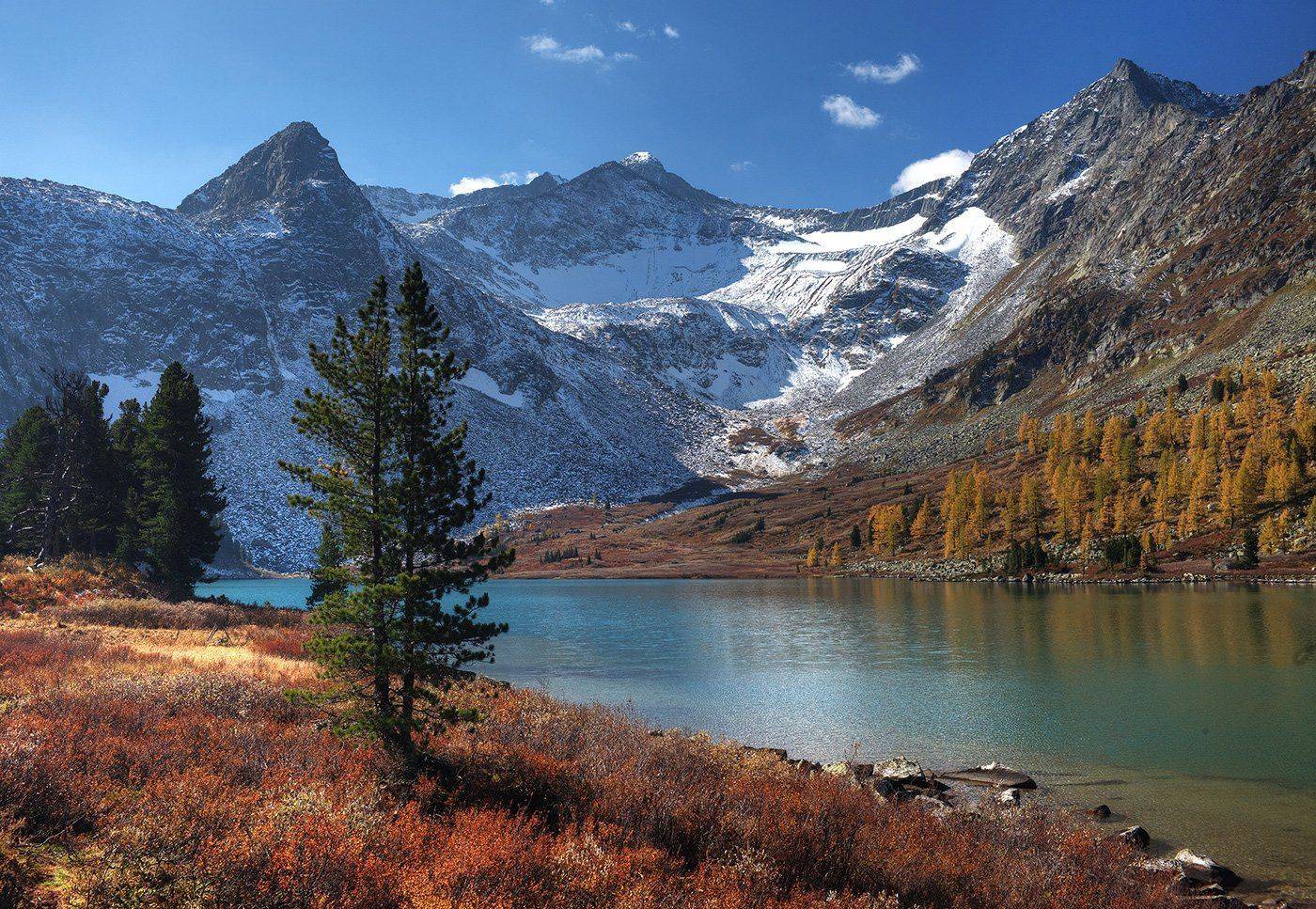 , Алексей Родак