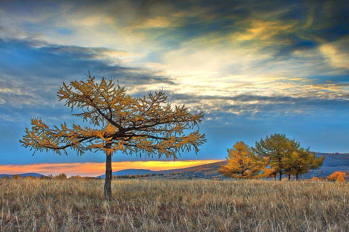 , Качурин Алексей