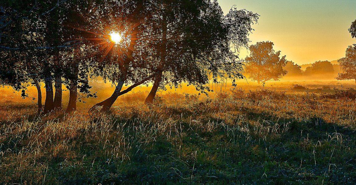 , Качурин Алексей