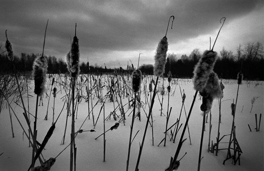 , Павел Мартюшев