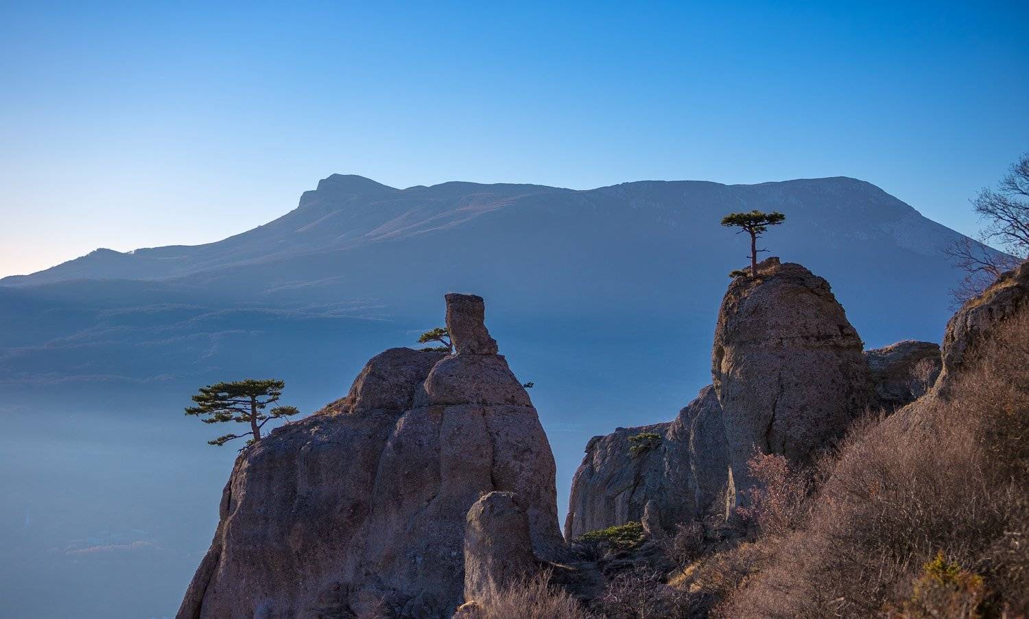 , Станислав Савицкий