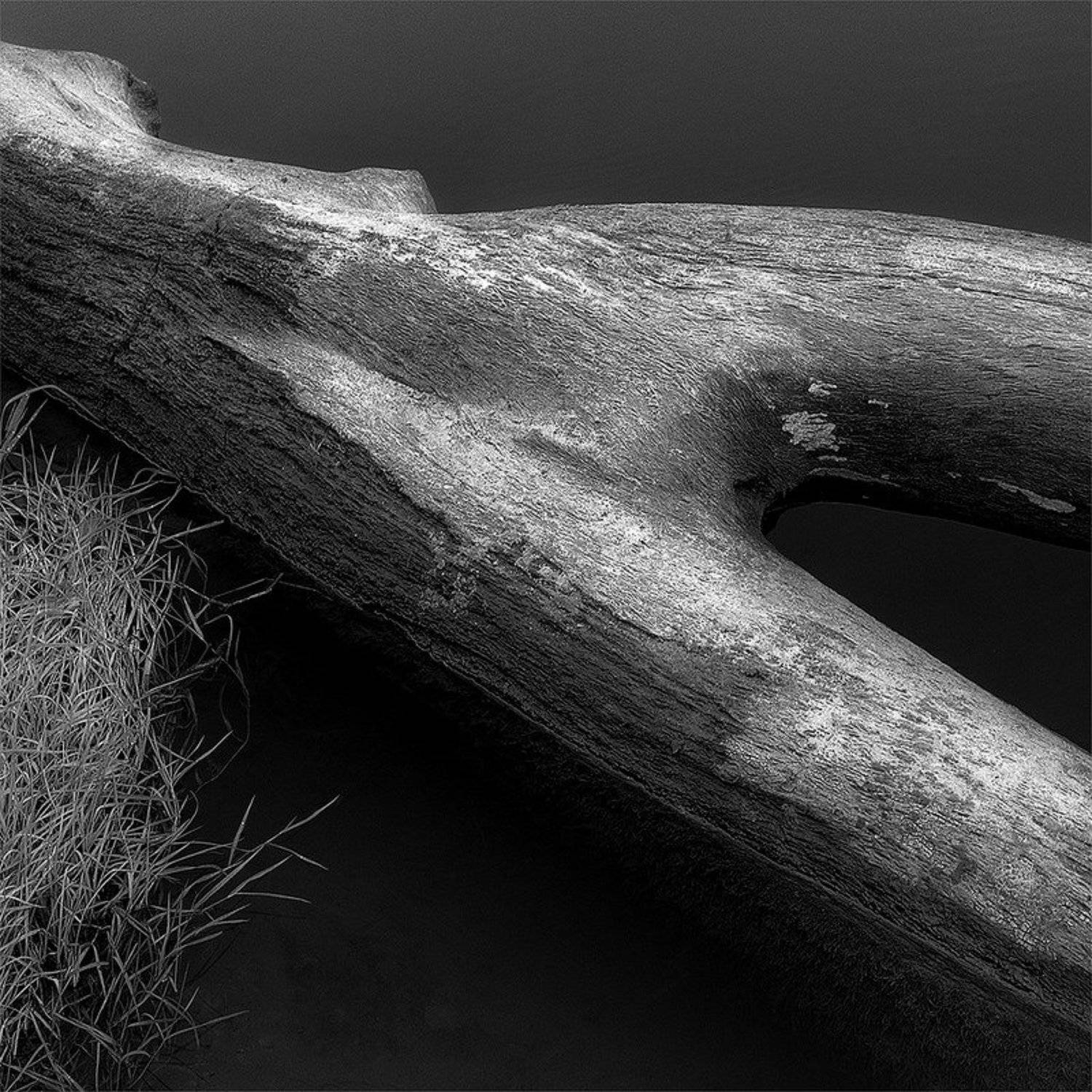 , Игнат Цоколаев