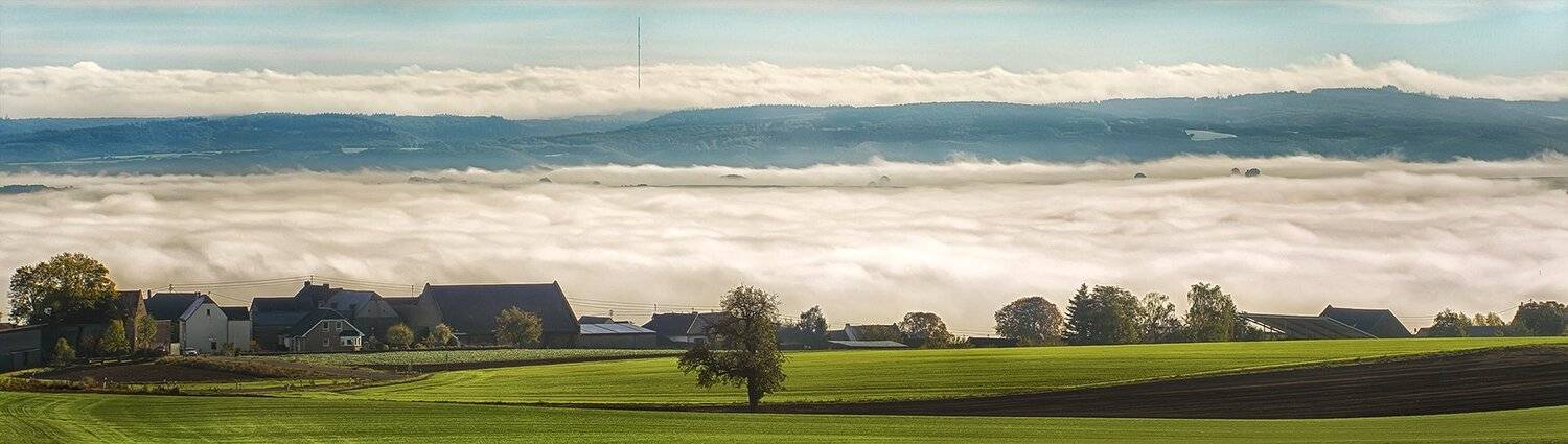, Игорь Дубровский