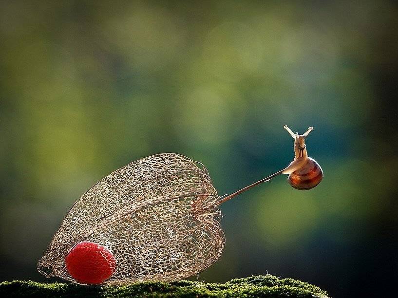 , Вячеслав Мищенко