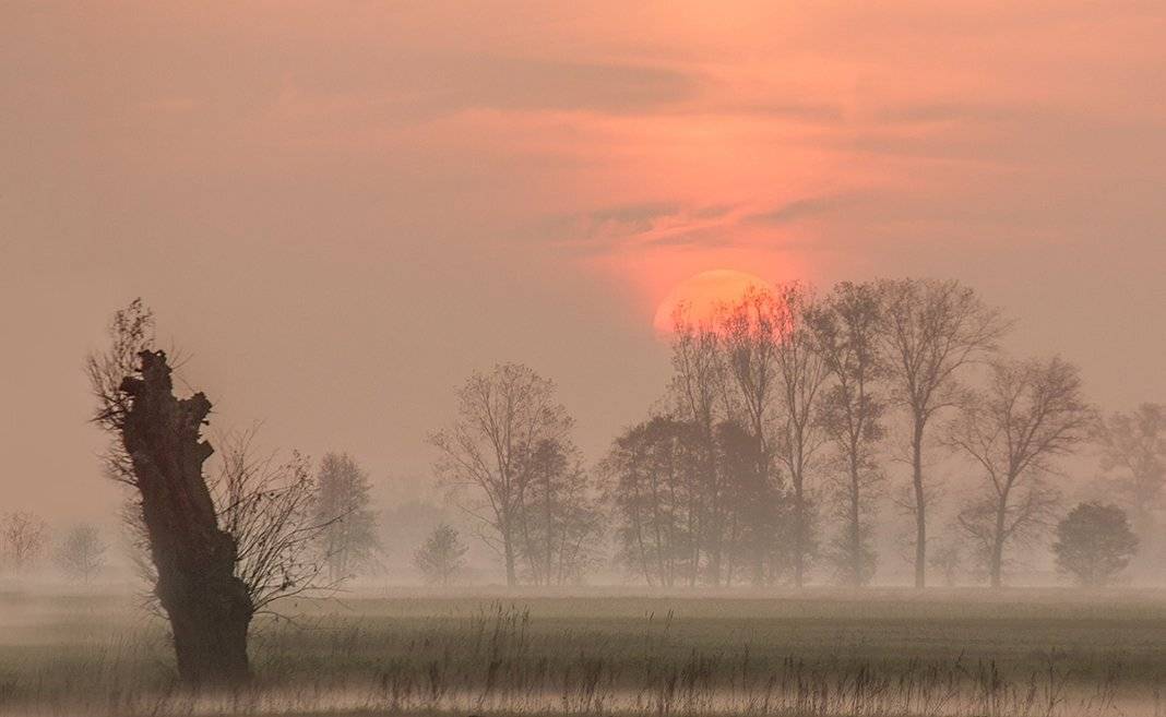 , Pawel Plucinski