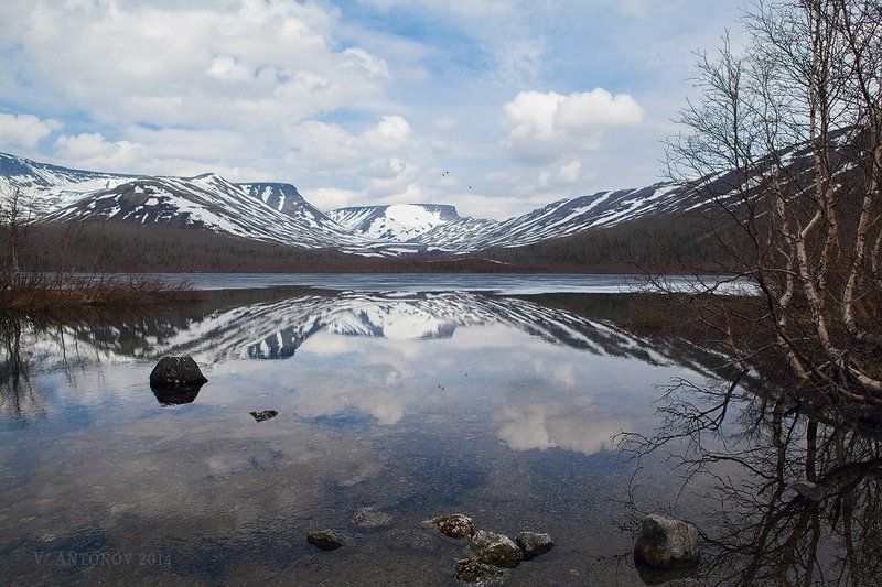 * * * фото превью