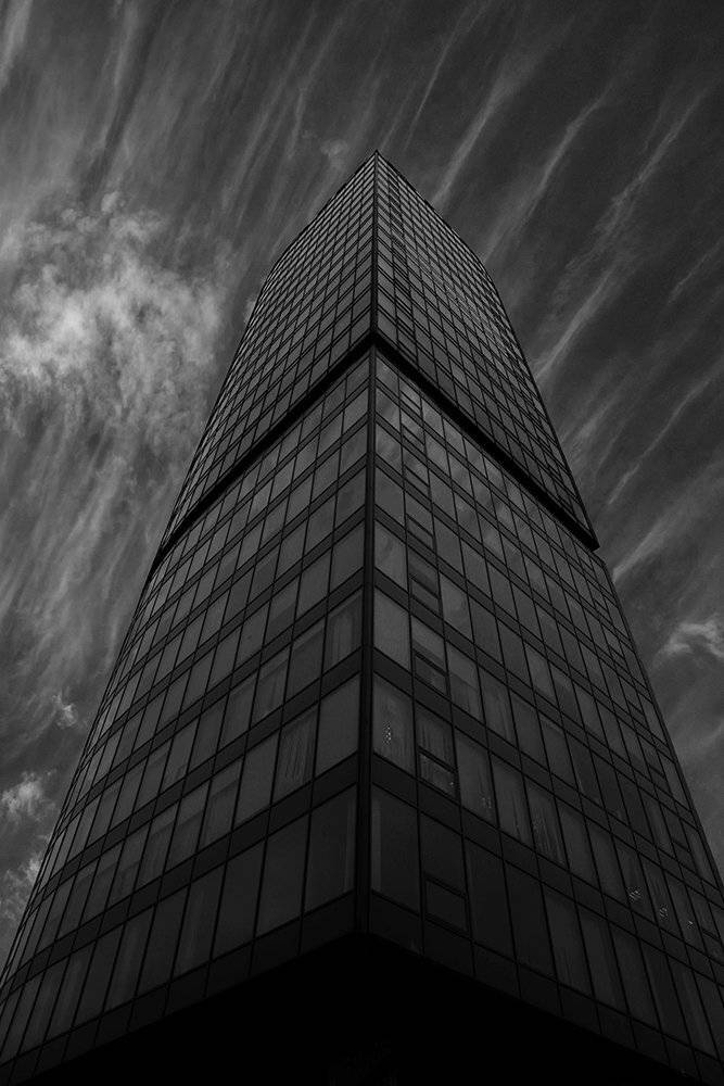 , Камилла Камилла